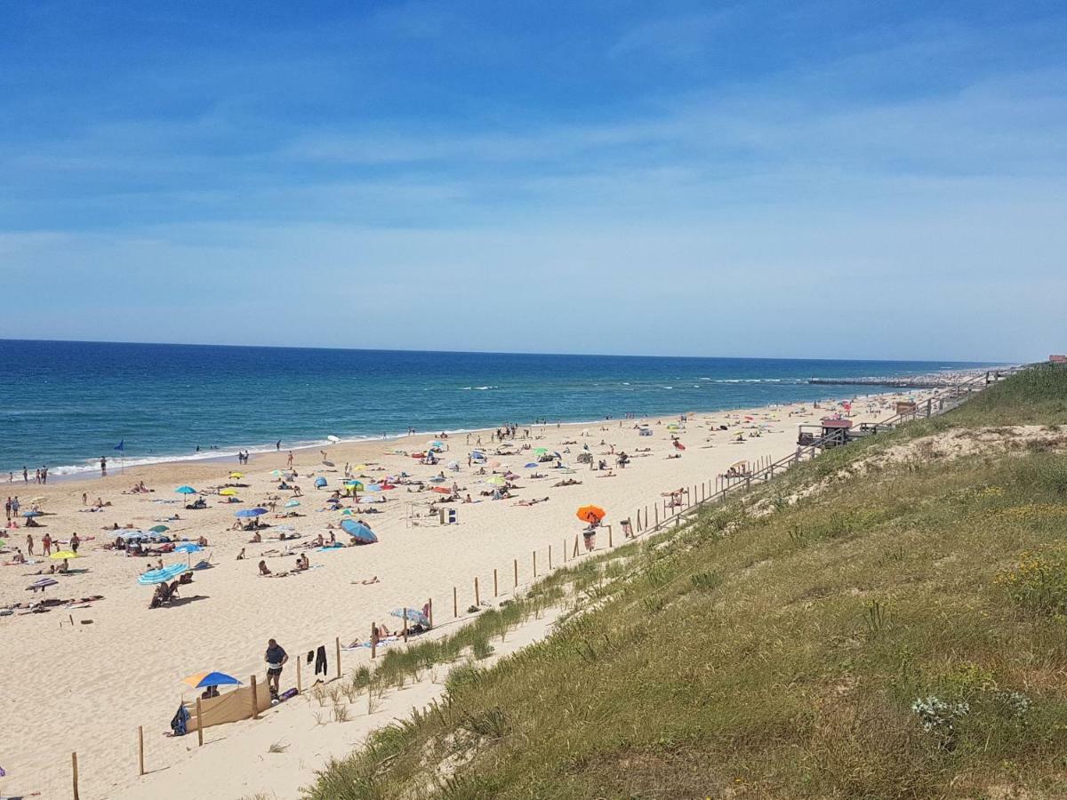 La Pinede Oceane,400M Des Plages ميميزا بلاج المظهر الخارجي الصورة