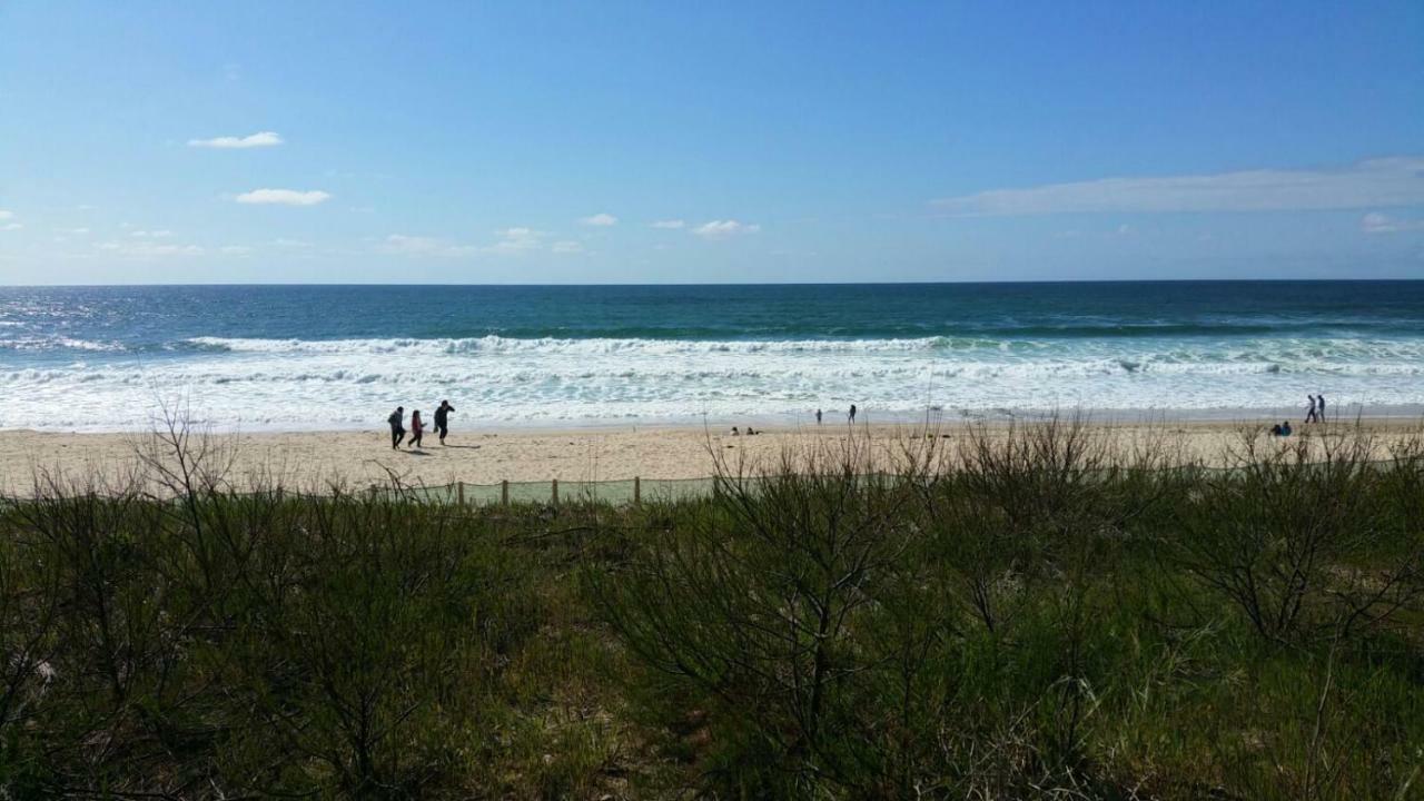 La Pinede Oceane,400M Des Plages ميميزا بلاج المظهر الخارجي الصورة