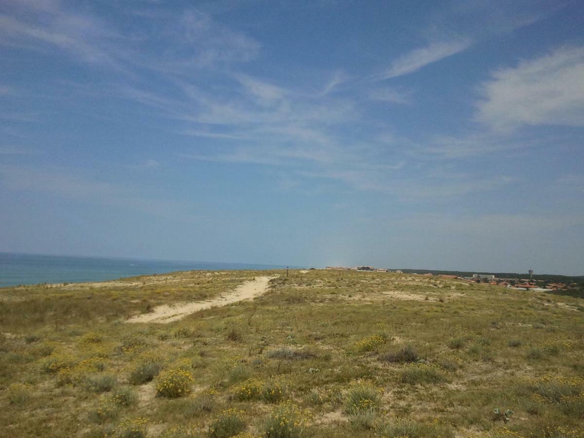 La Pinede Oceane,400M Des Plages ميميزا بلاج المظهر الخارجي الصورة